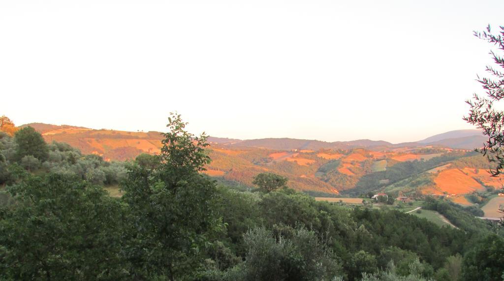 Agriturismo Dea ヴァルファッブリカ エクステリア 写真