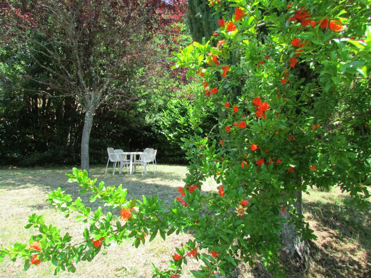Agriturismo Dea ヴァルファッブリカ エクステリア 写真